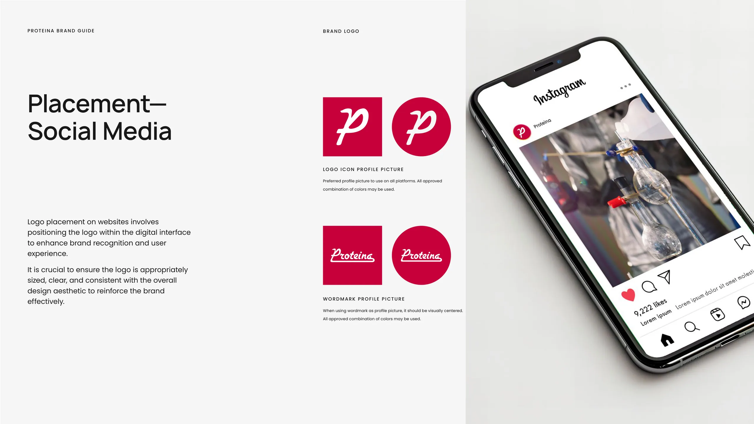 Proteina brand identity 2